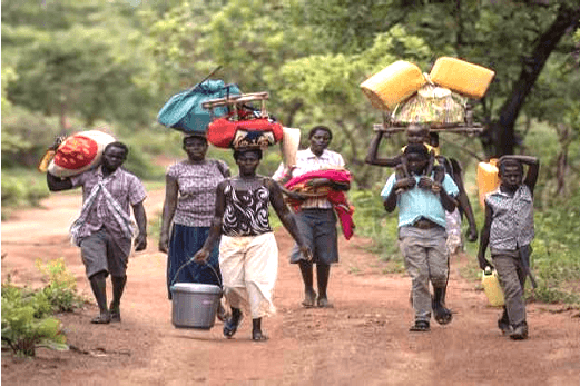 Gender Equity & Protection